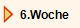   6.Woche